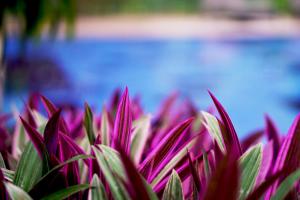 Serendip Stone Hotel and Bungalow