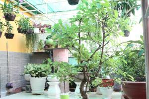 Nature House Homestay