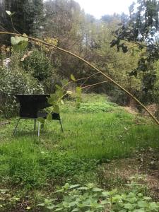 Maisons d'hotes Matin de Saone : Suite avec Baignoire Spa - Non remboursable