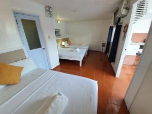 House of Big Brother Palawan