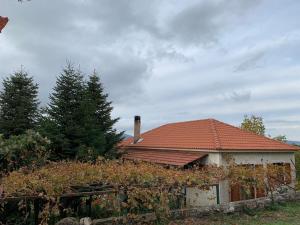 Mountain house, Manna Peloponnese Orini-Korinthia Greece