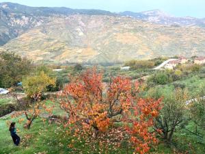 Mountain house, Manna Peloponnese Orini-Korinthia Greece