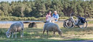 Hotel van der Valk Spier Dwingeloo