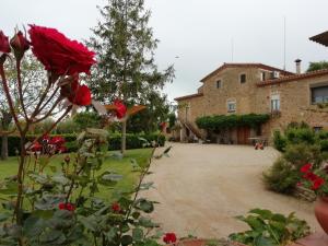 Alojamiento Rural Mas Pareta