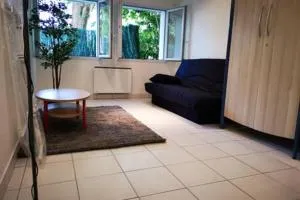 Charmant Studio meublé 30 min Paris, 5 min Evry, proche Aéroport Orly - 德拉韦伊