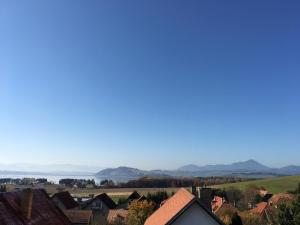 Deluxe Quadruple Room room in Apartment Albi Lakeview
