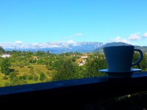 Vila Poarta Bucegilor