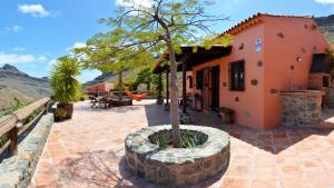 Finca Las Olivas
