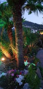 LIncanto di Cala Feola