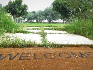 Kalamaki Plaza Apartments Zakynthos Greece