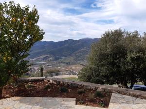 Levandes Houses Achaia Greece