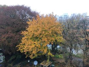 Newtown Apartments Bremen