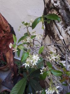 B&B / Chambres d'hotes O Anges : photos des chambres