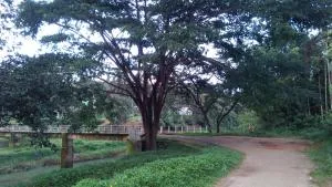 Family villa is a hut style accommodation - Koroth