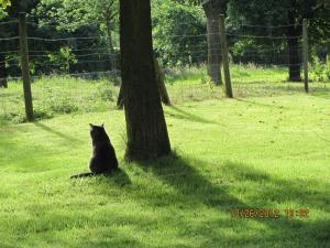 B&B / Chambres d'hotes Le Moulin de l`Epinay : photos des chambres