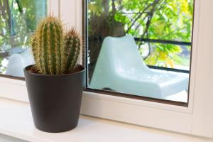 La Garçonnière de Wiertz - EscAppart