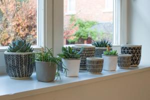 La Garçonnière de Wiertz - EscAppart