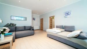 One-Bedroom Apartment room in Apartament EverySky Kowary 1 Maja 52-1