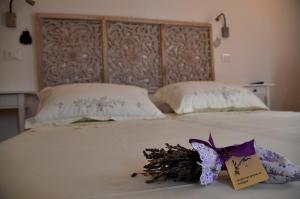 Bed and Breakfast San Saturnino img21