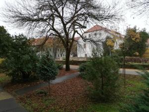 Tulip Family Apartments