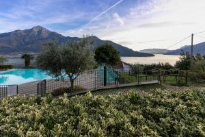 Apartments Collinetta