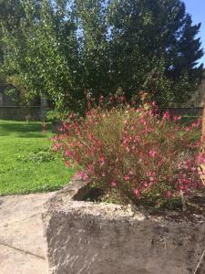 Maisons de vacances Gite Rouge Calme et Nature : photos des chambres