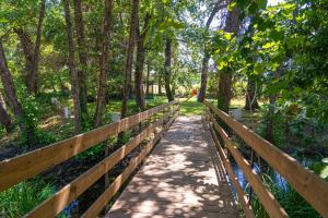 Maisons de vacances A Suara : photos des chambres