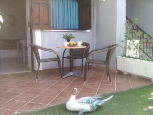 Apartment (2-4 Adults) room in Valentina Apartments