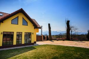 Ferienhaus Conacul lui Radu Făgăraş Rumänien