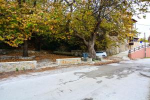 The Theater of Dreams