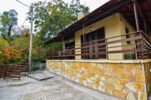 The Theater of Dreams