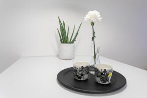 Vasko luxurious suites, Davvi