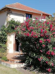 Maisons de vacances La Maison de Thelma : photos des chambres