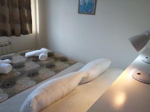 Salamandra Apartamentos