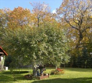 Gospodarstwo Agroturystyczne Kozłowiec