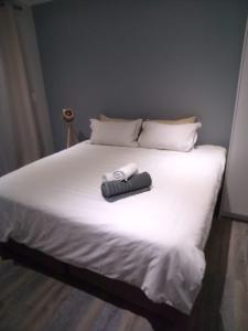 Cosmopolitan Accommodation Group