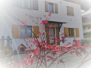 Apartman la STELLA House Tarvizio Italija