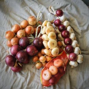 La Residenza di Bacco