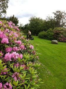 Agerdal Bed & Breakfast