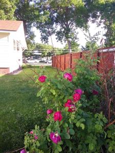 Cozy and Comfortable Powell Apartment