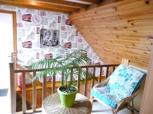 Appartements Studio avec jardin amenage et wifi a Berck a 2 km de la plage : photos des chambres