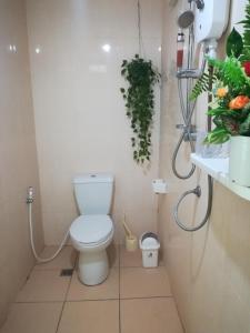 Pink Kangaroo Bungalows