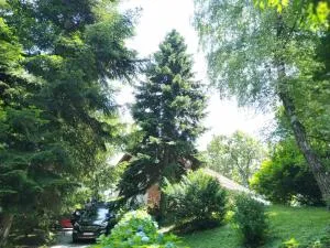 Old Chestnut Vacation Home - Vrtlinovec