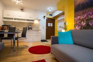 Apartament Promyk Pod Lipkami APARTZAKOP