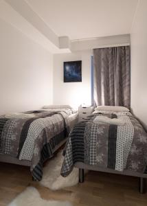 Apartment Loimu C75