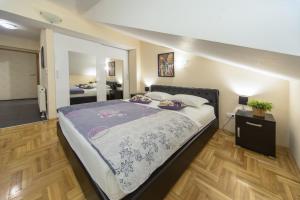 Superior Studio room in F Apartmani Kragujevac