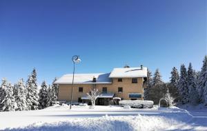 Hotels Hotel - Restaurant Le Blanchon : photos des chambres