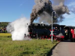 Ferienwohnung Quedlinburg OT Gernrode Harz