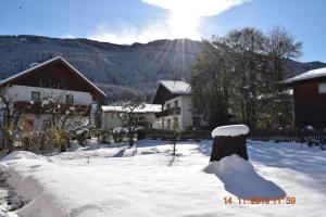 Apartement Apartment Nagiller Rinn Austria