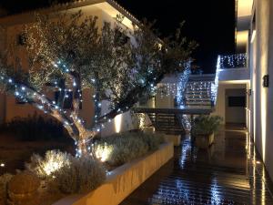 Appartements Residence Capriona : photos des chambres
